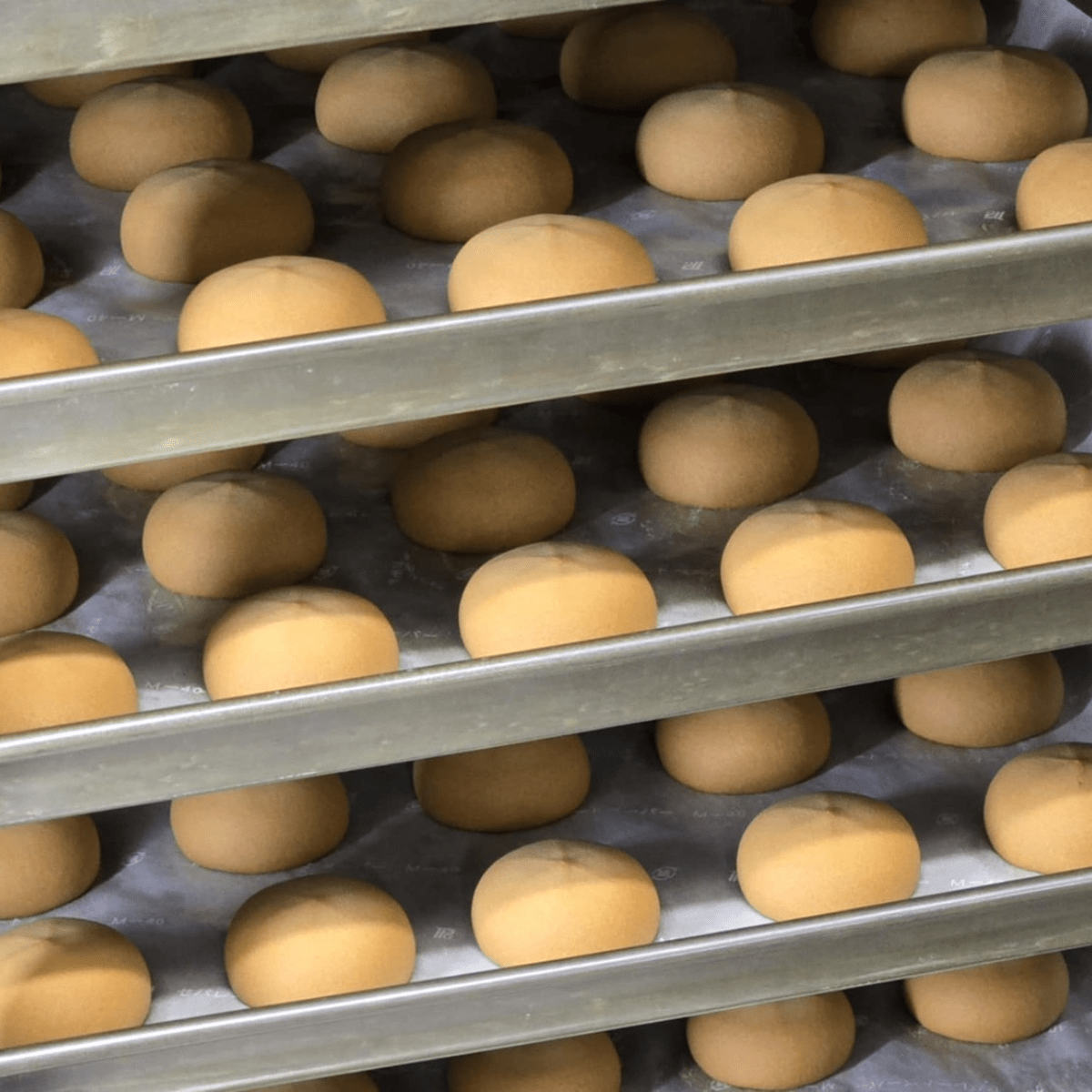 HYUGARIKYUAN KURIKO Chestnut Milk Pastry 6P - Tokyo Fresh Direct