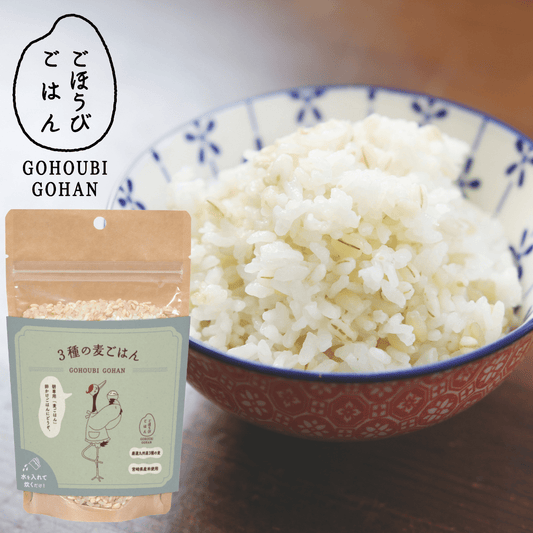 DANBO*DELI Barley Trio Grain Rice Blend - Tokyo Fresh Direct