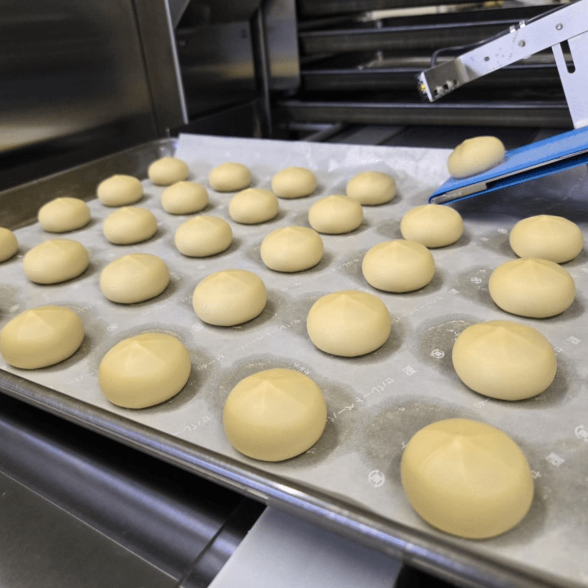 HYUGARIKYUAN KURIKO Chestnut Milk Pastry 6P - Tokyo Fresh Direct