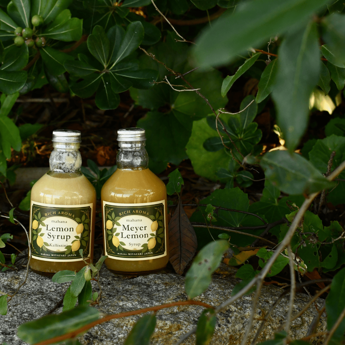 MAHANA Meyer Lemon Essence Syrup - Tokyo Fresh Direct