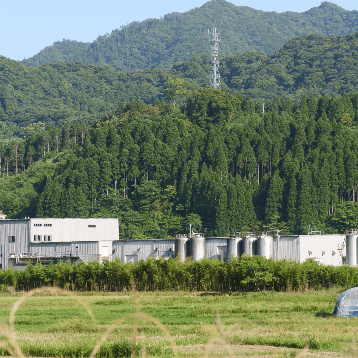 OCHIAI SHUZOJYO Kagamizu Ginger Barley Shochu 720ml ABV. 25% - Tokyo Fresh Direct