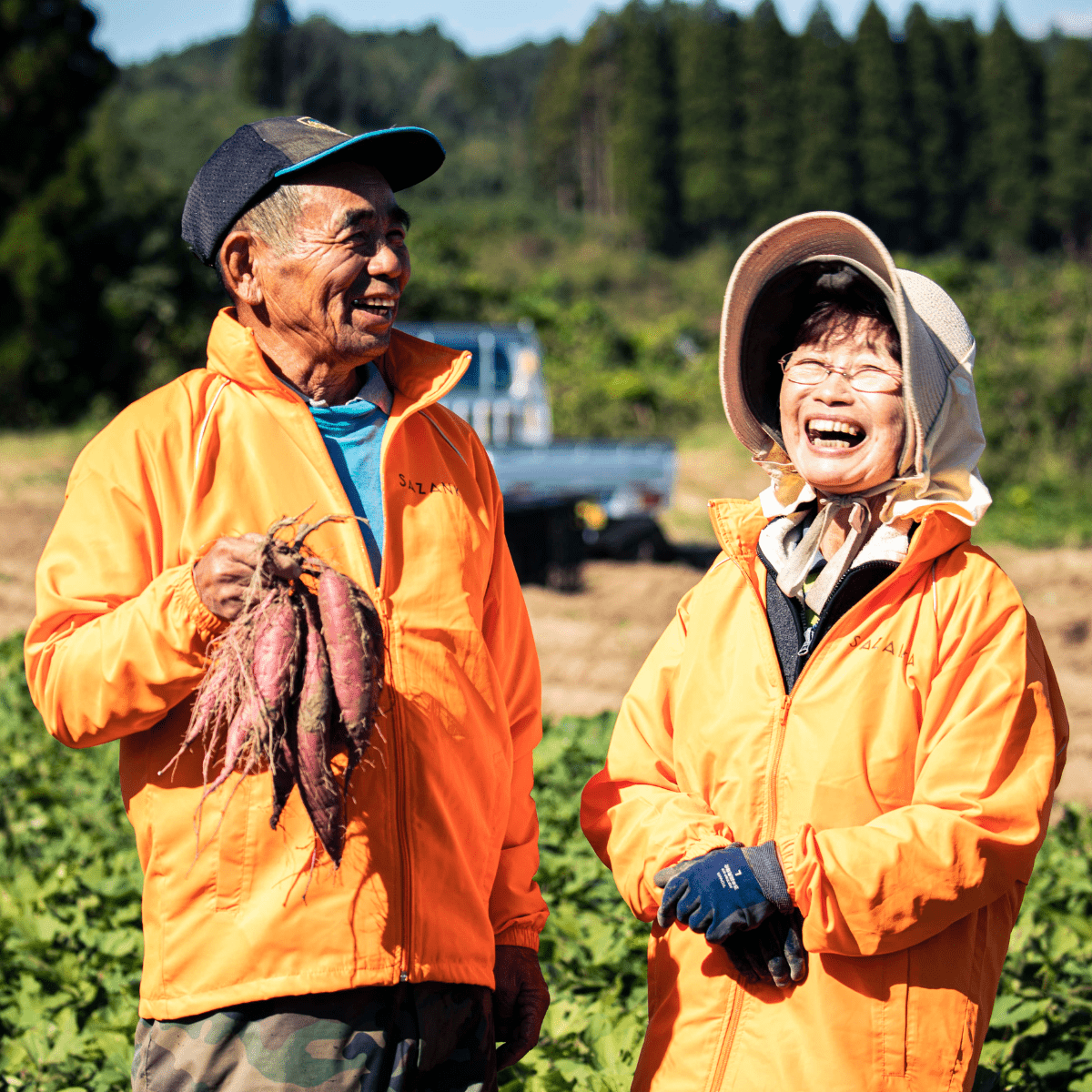 Premium Rich Texture Roasted Sweet Potat - Tokyo Fresh Direct