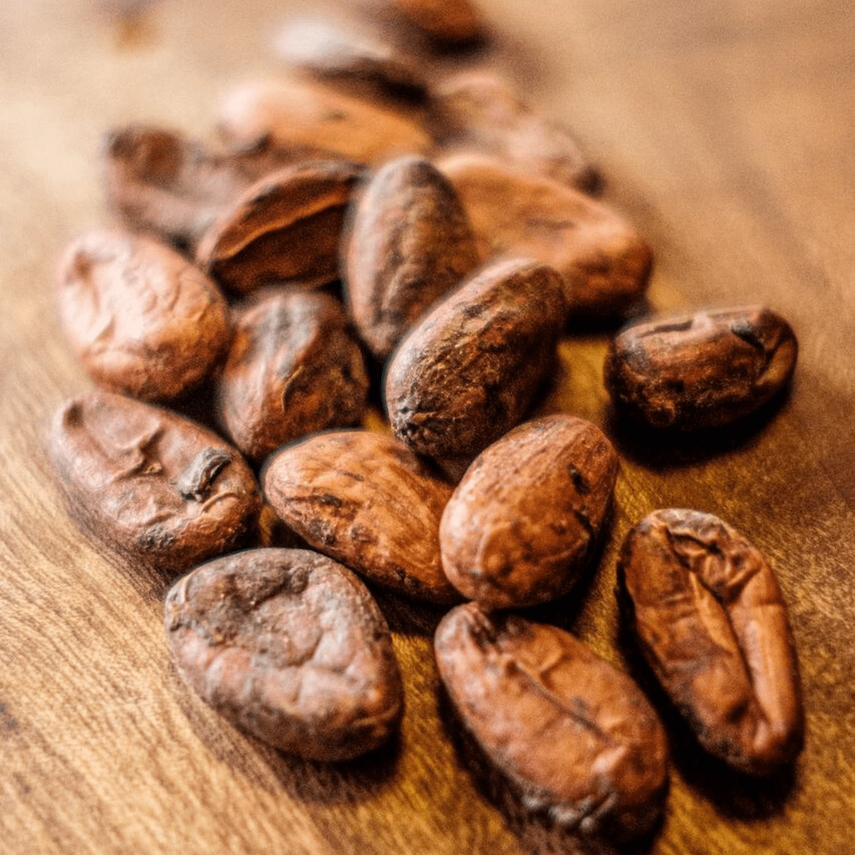 TINYKITCHEN MIYAZAKI Artisan Chocolate Citrus Chilli Cacao 70% - Tokyo Fresh Direct