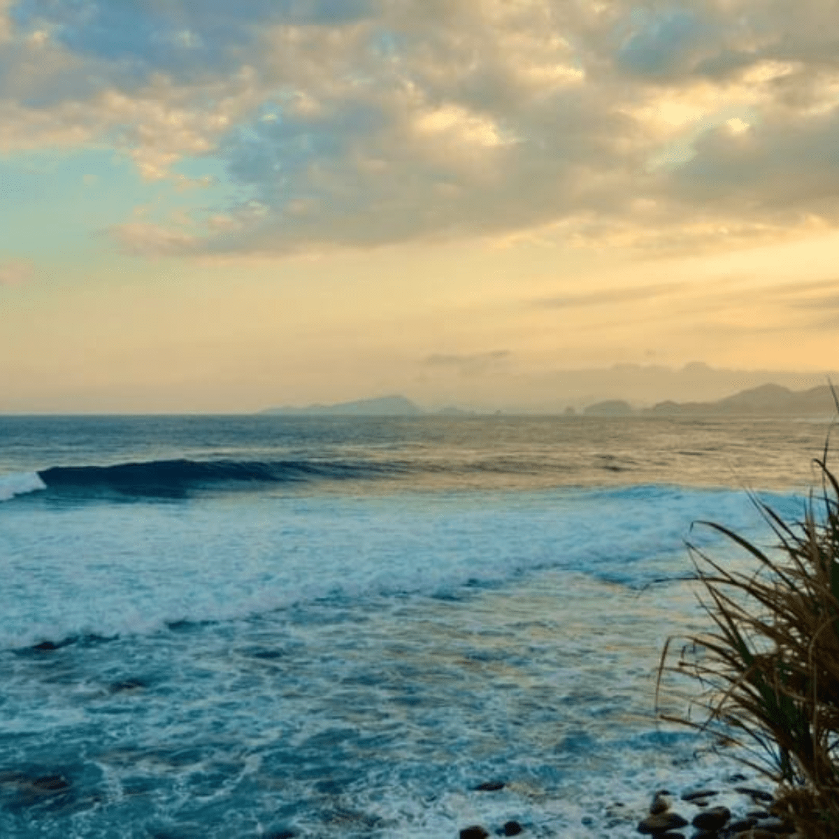 TINYKITCHEN MIYAZAKI Artisan Chocolate Sea Salt Cacao 70% - Tokyo Fresh Direct